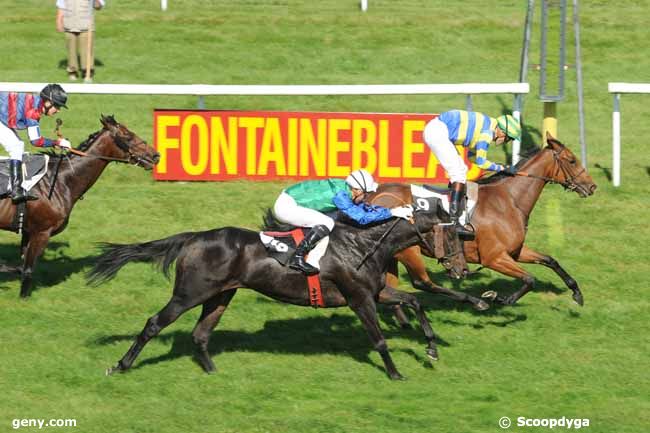 29/09/2011 - Fontainebleau - Prix des Amateurs : Result