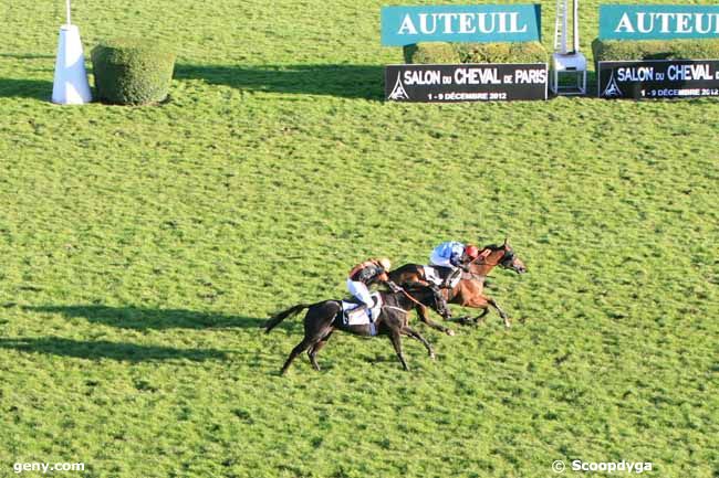 03/11/2012 - Auteuil - Grand Prix d'Automne : Arrivée