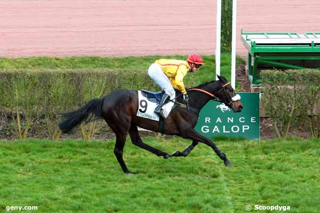 25/02/2014 - Enghien - Prix Oiseleur : Arrivée