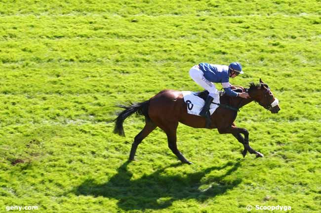 01/10/2015 - Auteuil - Prix Pride of Kildare : Arrivée