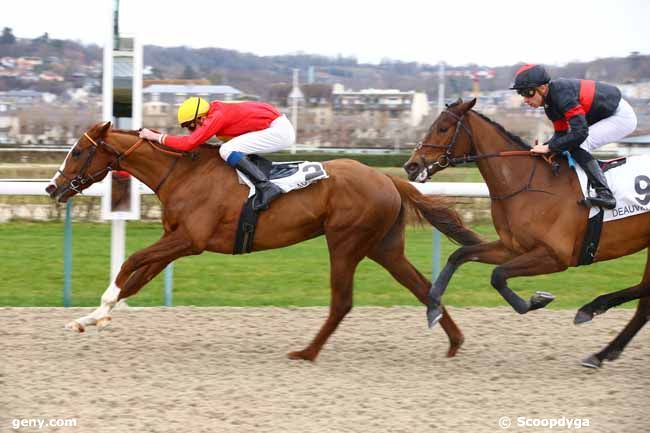 03/01/2019 - Deauville - Prix Swain : Arrivée