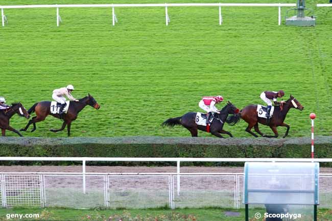 05/11/2019 - Saint-Cloud - Prix des Haras : Ankunft