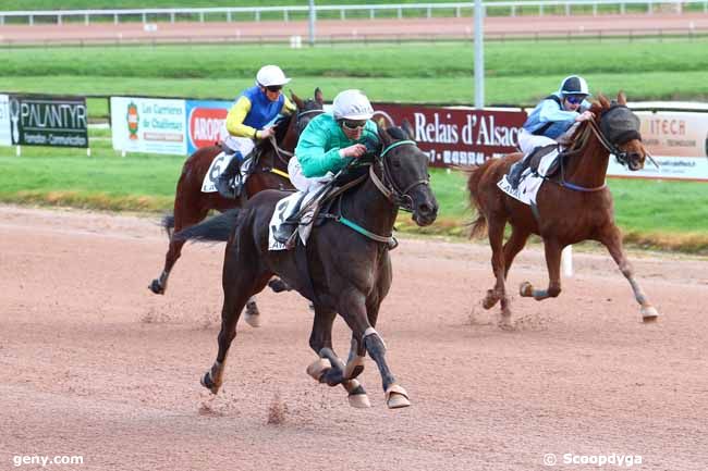 11/03/2020 - Laval - Prix Mercedes Etoile de Laval : Arrivée