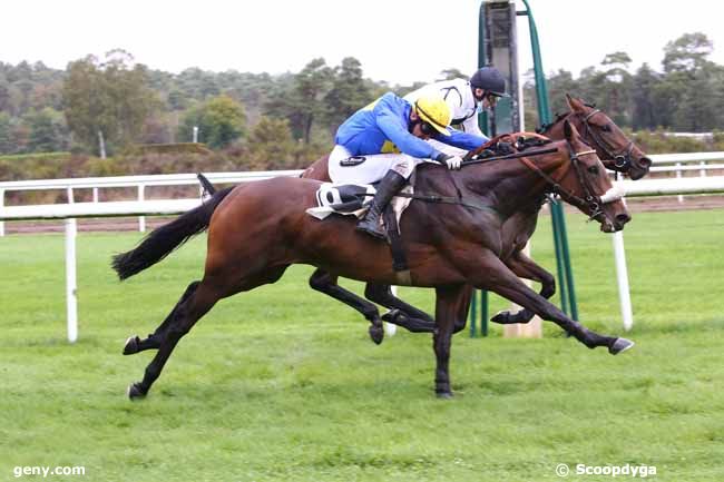 13/10/2020 - Fontainebleau - Prix de la Table du Roi : Arrivée