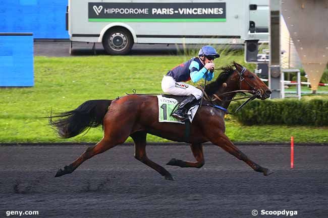 07/11/2022 - Vincennes - Prix Reynolds : Arrivée