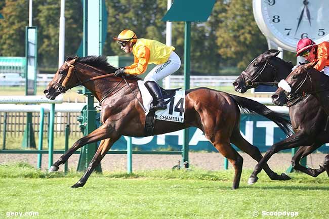 09/09/2023 - Chantilly - Prix des Ecuries Cheval-Etoile (Prix de l'Avenue du Bouteille : Arrivée