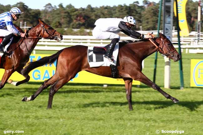 24/09/2023 - Fontainebleau - Prix du Bois Notre-Dame : Arrivée