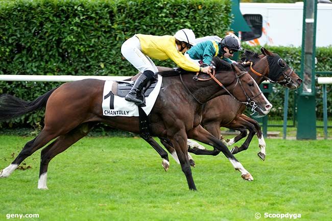 03/10/2024 - Chantilly - Prix du Bois de la Charbonnière : Arrivée