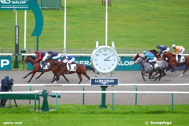 12/11/2024 - Chantilly - Prix du Carrefour des Marchands de Navet : Arrivée