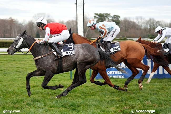 21/01/2025 - Pau - Prix "En route vers l'Amérique" (Prix René Cramail) : Arrivée