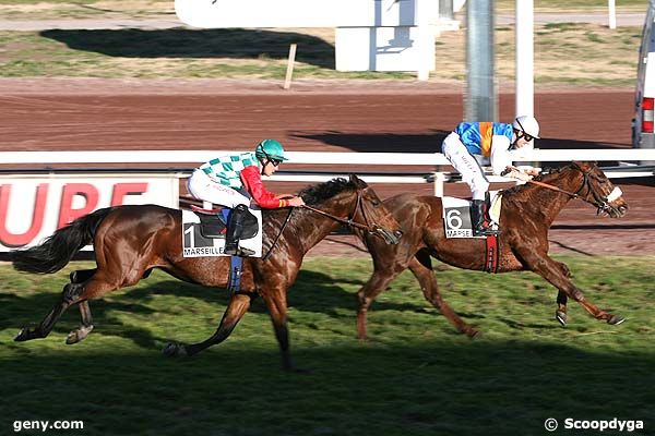 05/12/2007 - Marseille-Borély - Prix de Montmajour : Arrivée