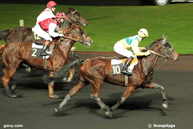 17/11/2009 - Vincennes - Prix Perséphone : Ankunft