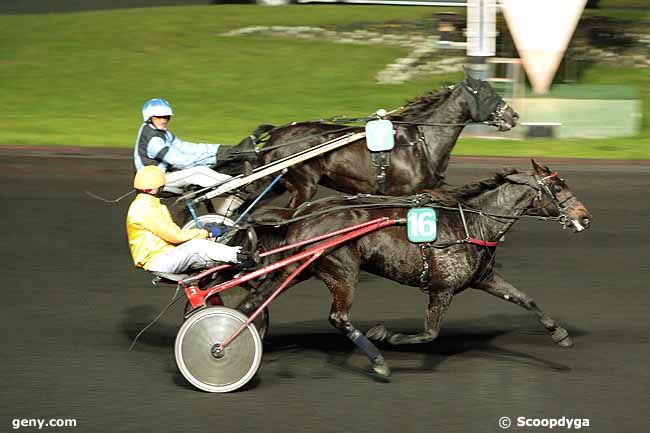 29/10/2010 - Vincennes - Prix Cyane : Arrivée