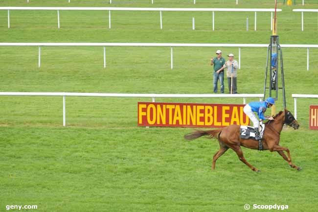 06/05/2011 - Fontainebleau - Prix des Hauteurs de la Solle : Result