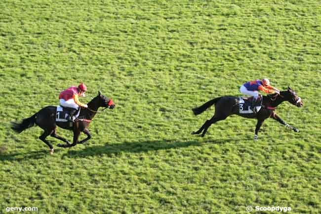 02/12/2011 - Auteuil - Prix Cap : Arrivée