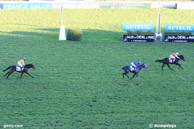 03/11/2012 - Auteuil - Prix Ketch : Arrivée