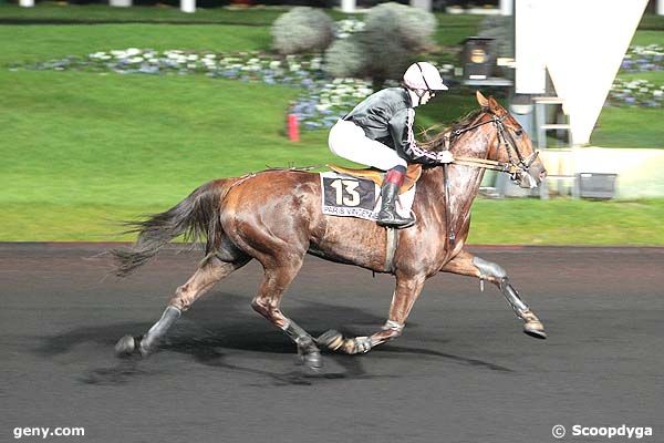 13/11/2012 - Vincennes - Prix Psyché : Arrivée