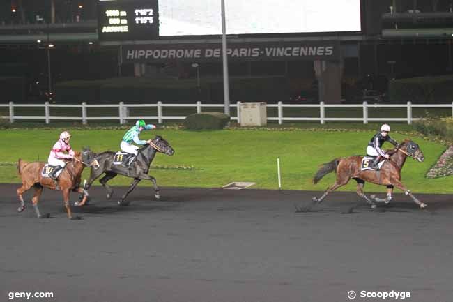 30/11/2012 - Vincennes - Prix Vibilia : Arrivée