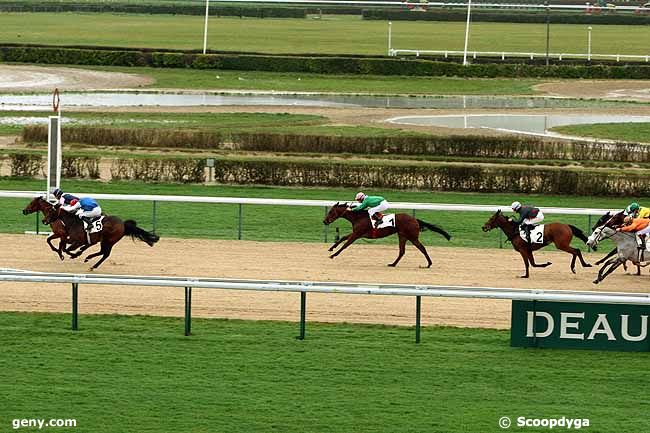 05/01/2013 - Deauville - Prix d'Herbourgère : Ankunft