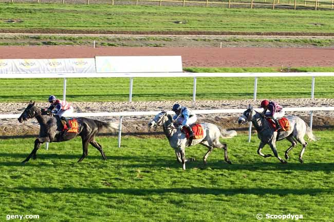 11/11/2013 - Toulouse - Prix Lagon Vert (Prix de Bellerive) : Result