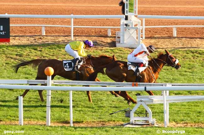 16/12/2013 - Cagnes-sur-Mer - Prix Alain du Breil : Arrivée