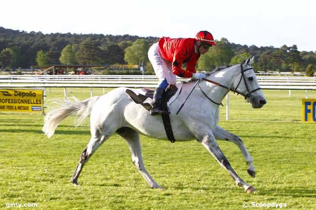 09/05/2015 - Fontainebleau - Prix Colonel Bruno de Galbert : Arrivée