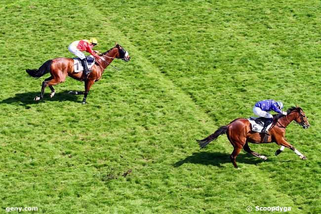 22/05/2015 - Auteuil - Prix Prétentaine : Ankunft