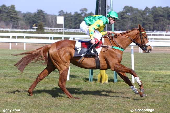 15/03/2016 - Fontainebleau - Prix de Montigny-sur-Loing : Arrivée