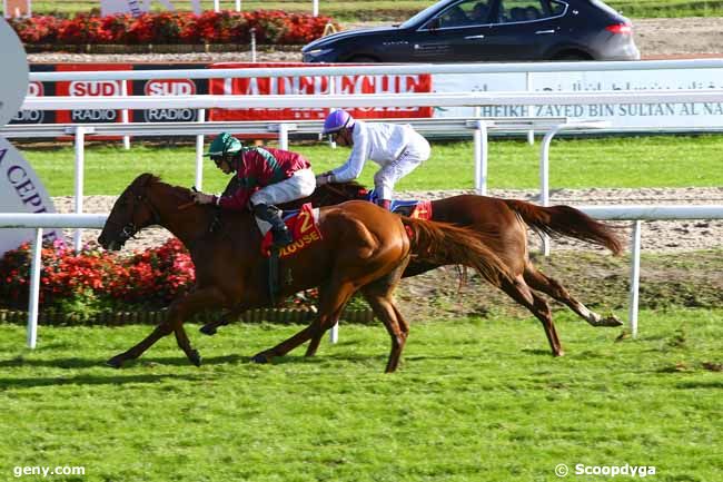 11/11/2016 - Toulouse - Prix d'Esquirol : Ankunft