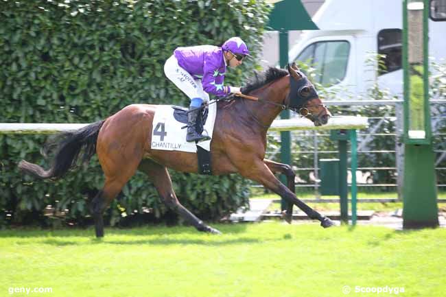 11/05/2019 - Chantilly - Prix du Chaudron : Arrivée