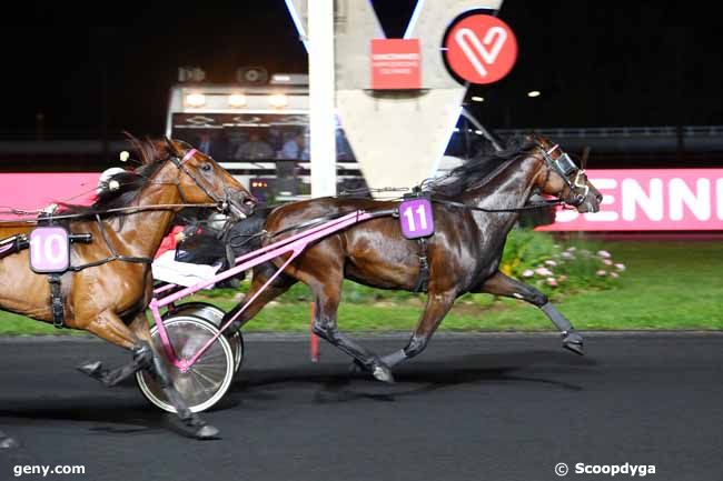 03/09/2019 - Vincennes - Prix Badenia : Ankunft