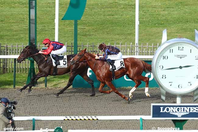 27/10/2023 - Chantilly - Prix de l'Avenue de Condé : Arrivée