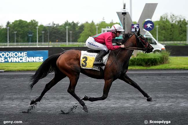 14/05/2024 - Vincennes - Prix Nuwa : Arrivée