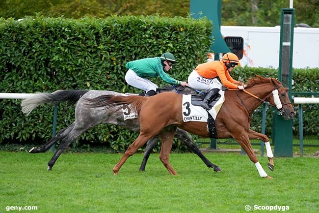 03/10/2024 - Chantilly - Prix du Bois Saint-Nicolas : Ankunft