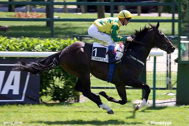 22/06/2010 - Chantilly - Prix d'Halatte : Arrivée