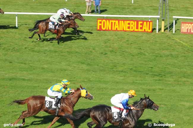 29/09/2011 - Fontainebleau - Prix de Gournay-en-Bray : Result