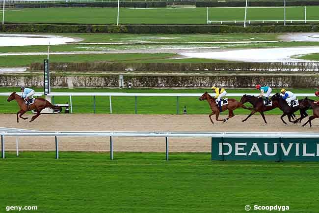 16/12/2011 - Deauville - Prix de Rauville : Result