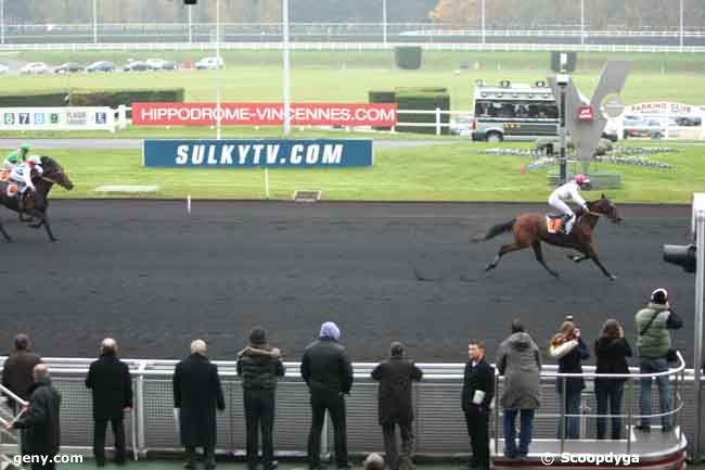 17/11/2012 - Vincennes - Prix Edmond Henry : Arrivée