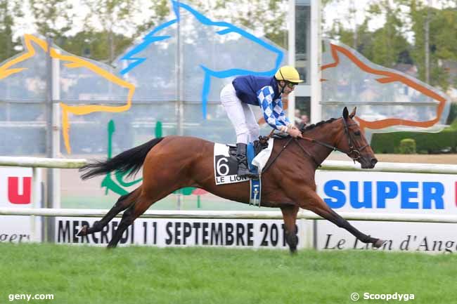 11/09/2013 - Le Lion-d'Angers - Prix du Mondial du Lion : Arrivée