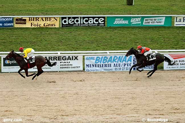 24/01/2014 - Pau - Prix d'Araujuzon : Arrivée