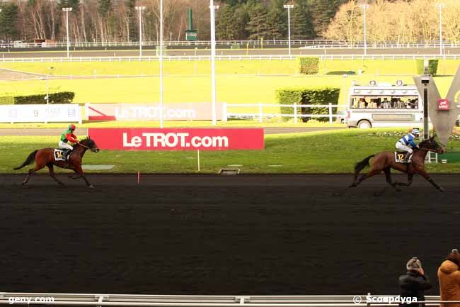 06/01/2016 - Vincennes - Prix de Vézac : Arrivée