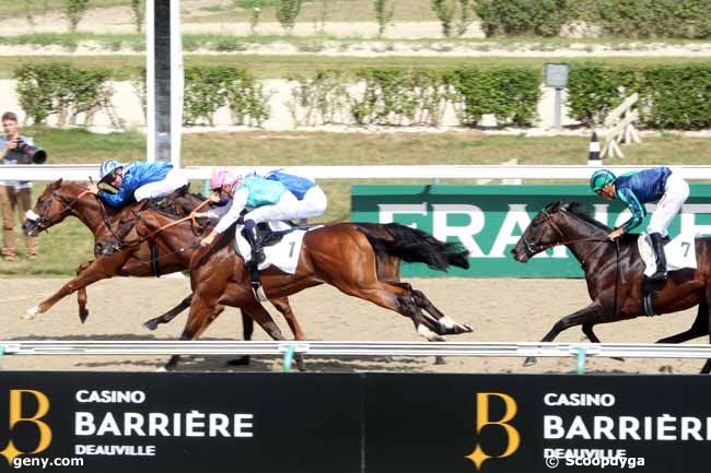 28/08/2016 - Deauville - Prix Casino Barrière - Trouville : Arrivée