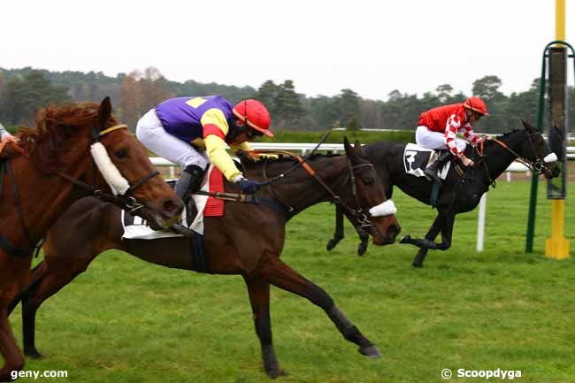 25/11/2016 - Fontainebleau - Prix de Macherin (Premier Peloton) : Ankunft