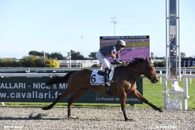 23/01/2018 - Cagnes-sur-Mer - Prix des Iles de Lerins : Arrivée