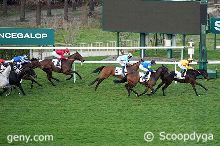 16/03/2025 - Saint-Cloud - Prix Tarentelle: Ankunft