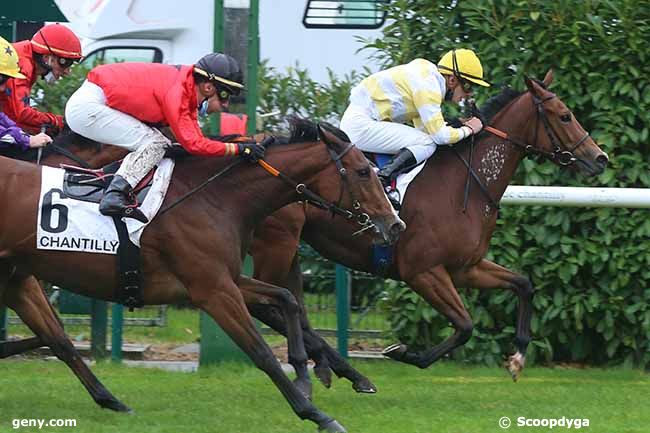 13/10/2020 - Chantilly - Prix des Terroirs de France : Ankunft