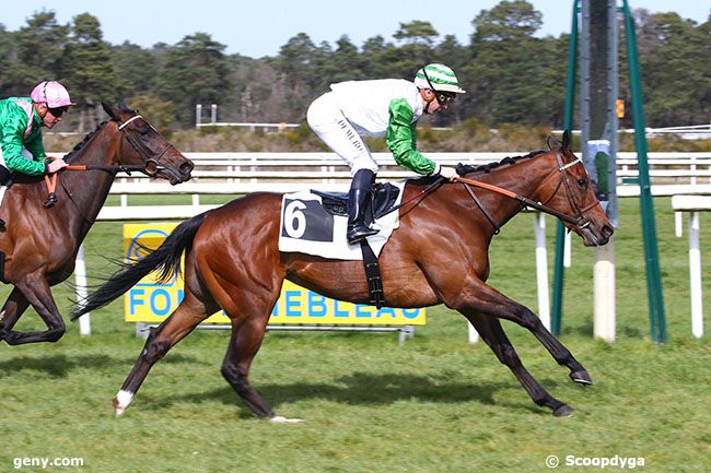 18/03/2022 - Fontainebleau - Prix des Sentiers Dénécourt : Arrivée