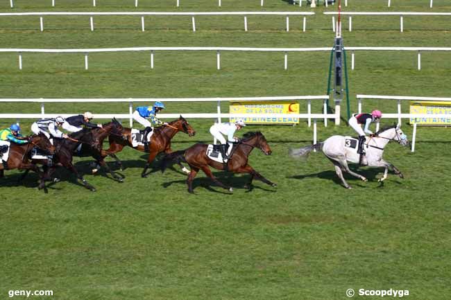 03/03/2023 - Fontainebleau - Prix des Ifs : Arrivée