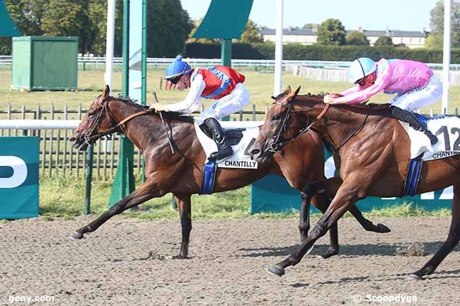 09/09/2023 - Chantilly - Prix du Canal du Hameau : Arrivée