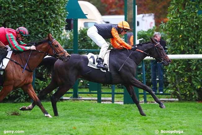 27/10/2023 - Chantilly - Prix de Seine-et-Oise : Arrivée